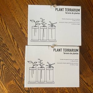 Plant Terrarium